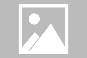 PG电子-TA：阿德耶米预计离开多特蒙德 他倾向于转战英超 维拉对他有意